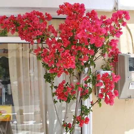 Polizotou Skala Sotiros